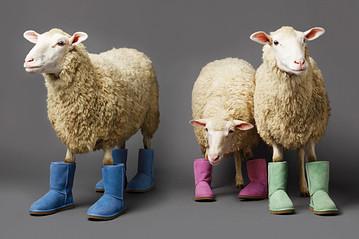 Ugg Australia