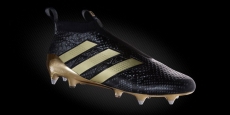 ACE 16+ Purecontrol