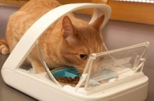 SureFeed Microchip Pet Feeder comedero automático para gatos por 89,99 €