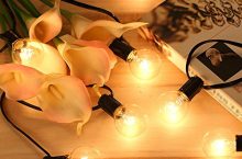 Tomshine Cadena Luz con 25 Bombillas a 16,09 € con código 8ZQQ58MF
