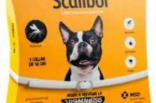 Collar Antiparasitario por 18,40 €