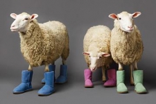 Ugg Australia, la bota más deseada
