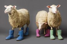 Ugg Australia, la bota más deseada