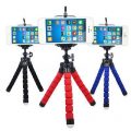 Sponge octopus tripod